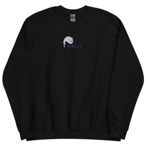 Pull classique Ghelly